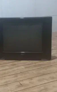 تلویزیون
