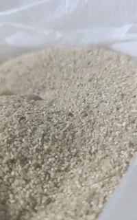 خورده برنج برای پرنده و مرغ