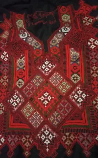 زی آستین
