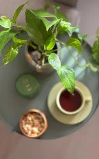 تمیزکاری