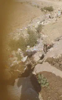 حیوانات مزرعه