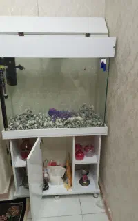 اکواریم نونو