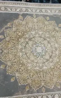 دوعدد دم دری ۱۲۰۰ شانه