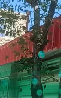 جوشکاری و کانال کشی و کناف کارو...
