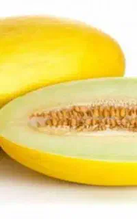 خربزه