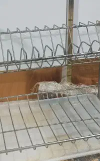 آبچکان سالم
