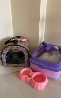 لوازم گربه