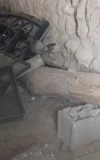 کبوتر معاوضه