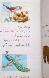 تدریس عربی تضمینی ۱۰۰%