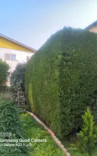 هرسکاری تخصصی با دستگاه سمپاشی با 11سال تجربه