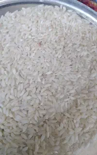 برنج عنبربو چرداول