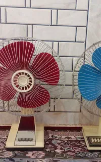 پنکه