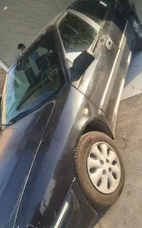 زانتیا کلکسیونی بدون رنگ