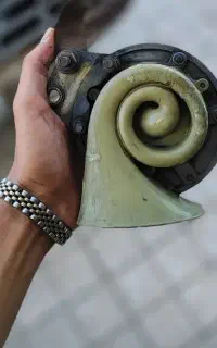 بوق زامیادی