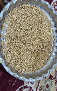 خرید