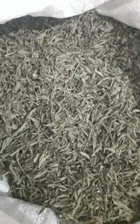 ادویه دالاهو