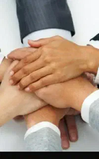 شراکت وسرمایه