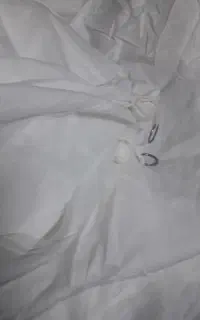 پشه بند