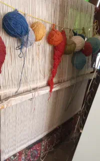فروش دارقالی