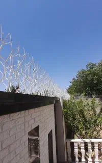 تولد.فروش و نصب حفاظ شاخ‌گوزنی