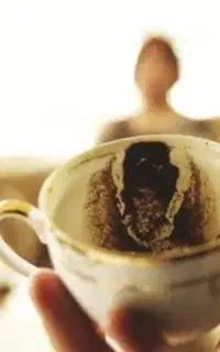 فال و سرکتاب