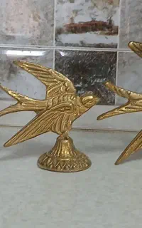 پرستو برنزیی