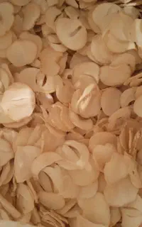 موسیر خشک پلاکی