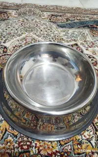 ظرف غذا خوری سگ و گربه