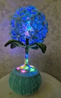 گل چراغ دار،شبخواب ،گل،دکوری