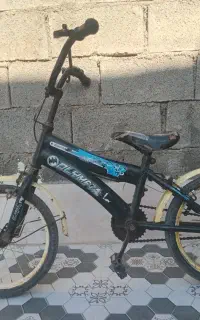شادگان
