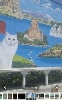 تور وان ترکیه ویژه کنسرت ابی