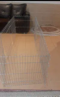 پارک سگ