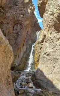 کمپ جنگل نوردی