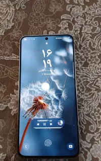 گوشی s25fe دو ماه کارکرد پک ویتنام با گارانتی