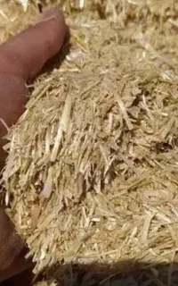 فروش کاه گندم و جو باکیفیت