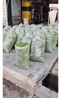 غوره عسگری تمیز و ارگانیک بدون سم خورده