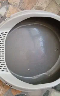 ظرف خاک گربه