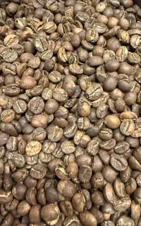 فروش قهوه عمده و جزئی