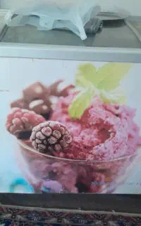 یخچال صندوقی