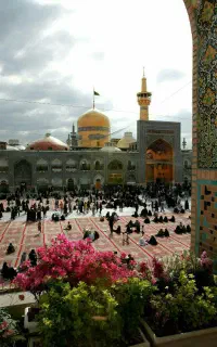سه نفر  مشهد ۷ روزه فقط تا امروز