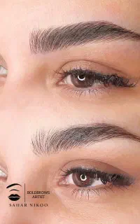جشنواره آموزش وخدمات میکرو فیبروز بن مژه شیدینگ لب