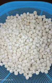 کشک درجه یک و نمونه نُقلی