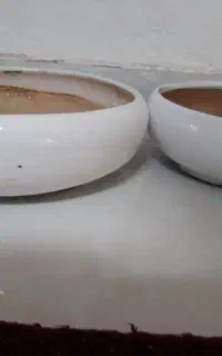 دو عدد گلدان سفید