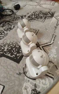 سنسور حرکتی