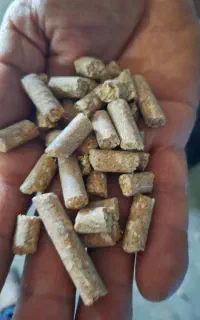 خوراک دام پرواری ویژه قشلاق فیروزآباد