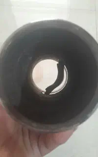 سر اکزوز