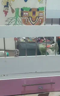 تخت دخترانه