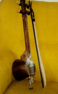 کمانچه حرفه ایی