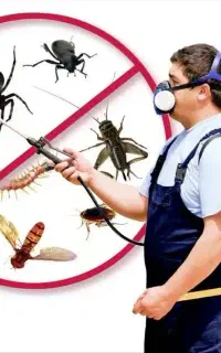 سمپاشی حشرات ومبارزه با آفات خانگی