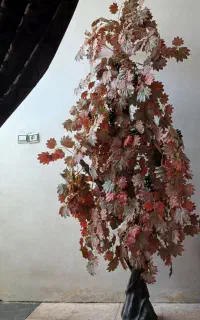 درخت تزئنی انگور